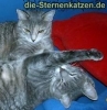 user_63_cleo_und_caesar.jpg