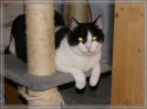 Meine Peggy