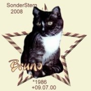 bruno.merlin2006x.jpg