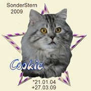 cookie09.jpg