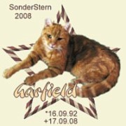 garfield.gesche.jpg