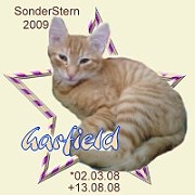garfield09.jpg