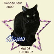 gismo09.jpg