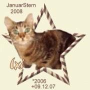 ixi.2008.jpg