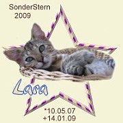 lara09.jpg