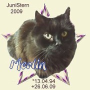 merlin09.jpg