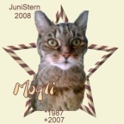 mogli.jpg