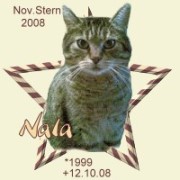 nala.jpg