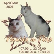 piccolo_u._pino.jpg
