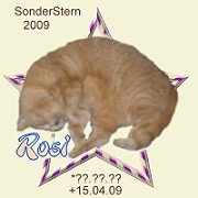 rosi09.jpg