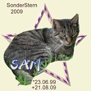 sam09.jpg
