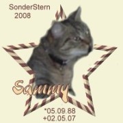 sammy.jpg