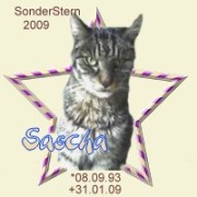 sascha09.jpg