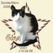 sina.jpg