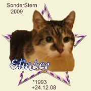 stinker09.jpg