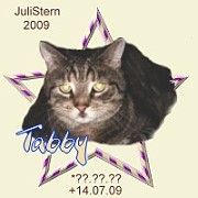tabby09.jpg