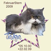 taiga09.jpg