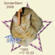 tiger09.jpg
